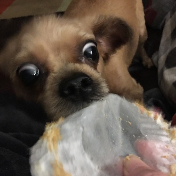 Meet your Posher, Sarah - Picture 7 of 7